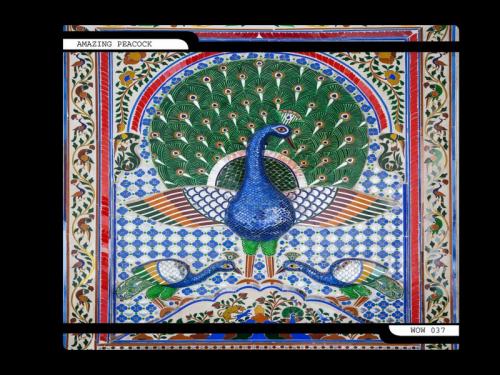 Old Jaipur Artisan Painting Pattern