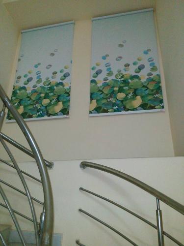 Customized Printed Blinds 1